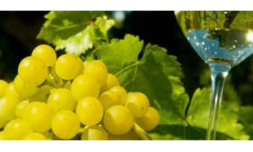 Primavera del prosecco 2015 dal 14 marzo 2015 al 14 giugno 2015